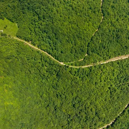 Oaza Mira - Sakina Pecina