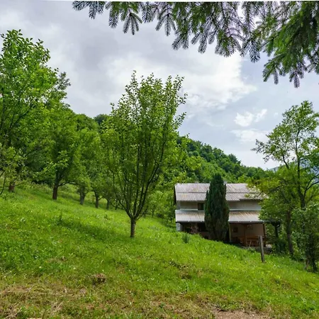 Chalet Oaza Mira - Sakina Pecina *